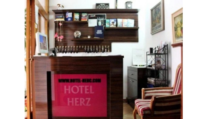 Herc Hotel poza 5