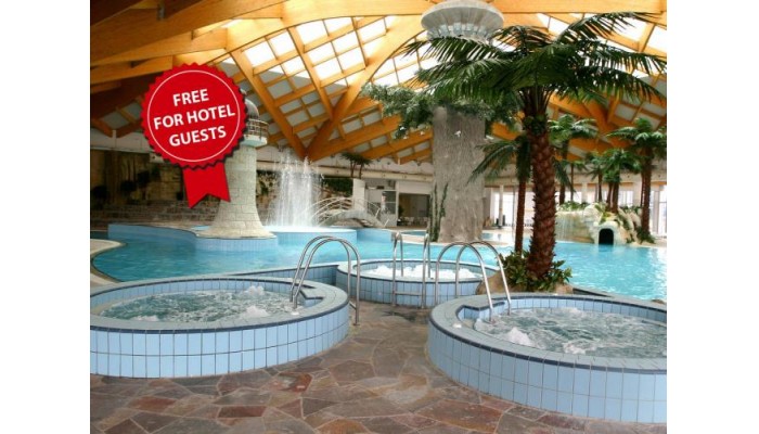 Hills Hotel Sarajevo Congress & Thermal Spa Resort poza 8