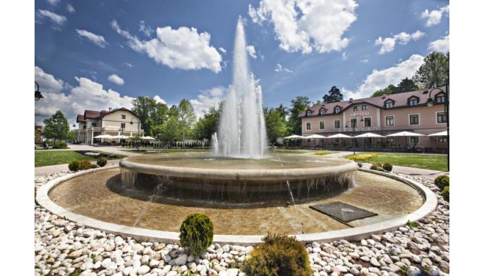 Spa Hotel Terme Ilidza poza 0